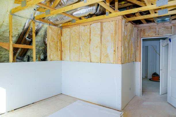 Best Eco-Friendly Insulation in Treasure Island, FL