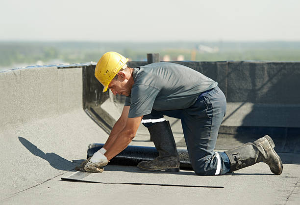 Best Specialized Insulation Services in Treasure Island, FL