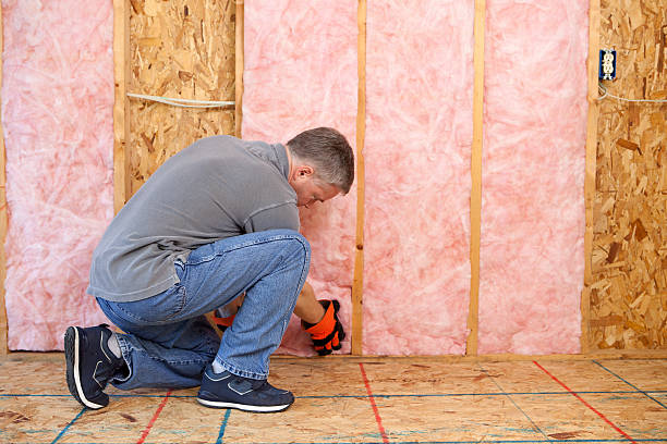 Types of Insulation We Offer in Treasure Island, FL